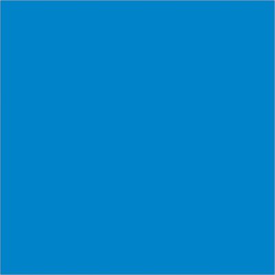 4 x 4" Light Blue Inventory Rectangle Labels