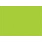 5 x 7" Fluorescent Green Inventory Rectangle Labels
