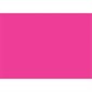 5 x 7" Fluorescent Pink Inventory Rectangle Labels