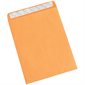 10 x 13" Kraft Self-Seal Envelopes