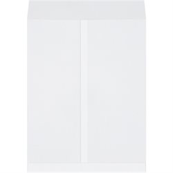 17 x 22" White Jumbo Envelopes